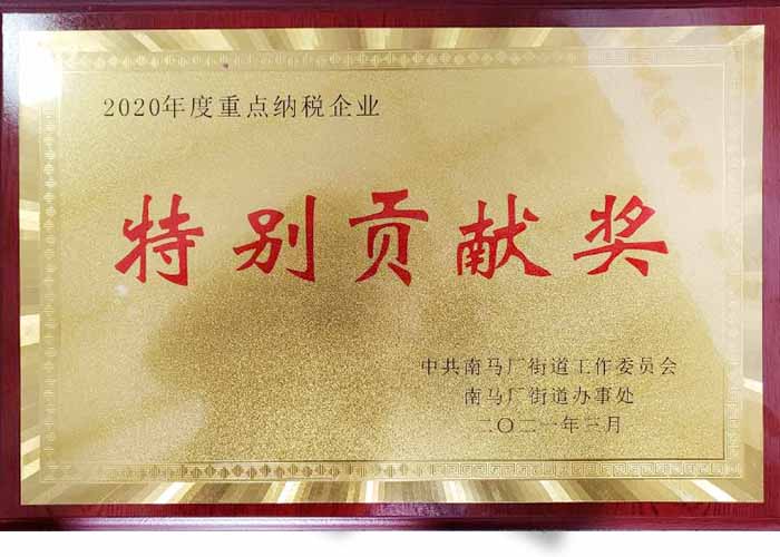 Special Contribution Award